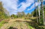 Terre/Terrain