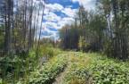 Terre/Terrain