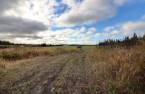 Land/Lot