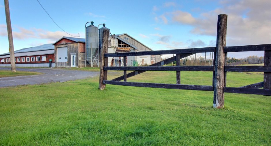 Barn