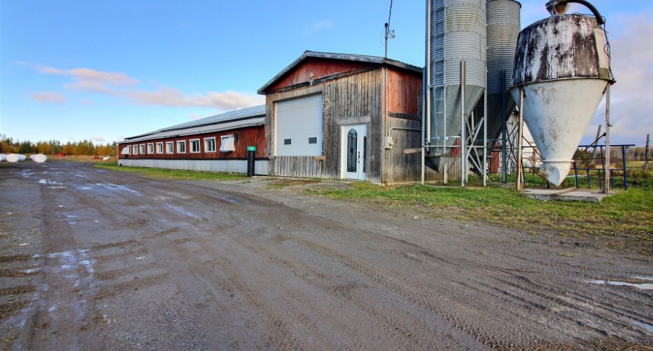 Barn