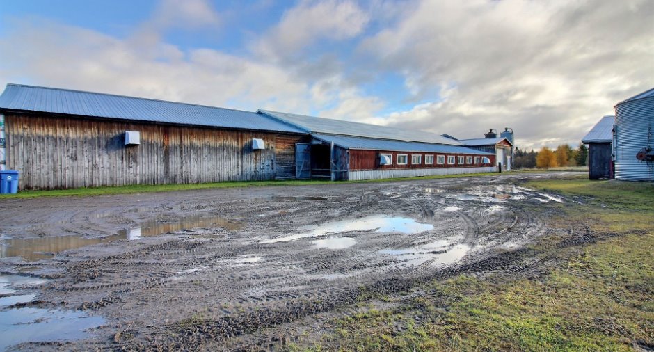 Barn