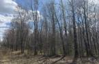 Terre/Terrain