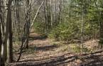 Terre/Terrain