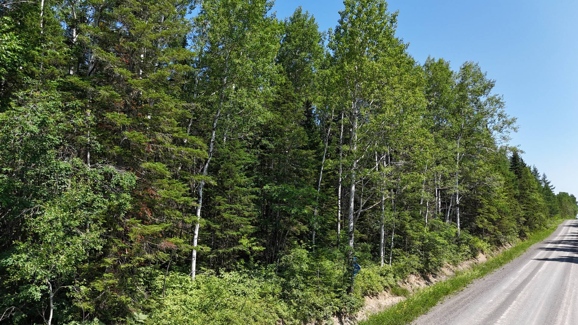 Route de Ste-Jeanne-d'arc — photo 3