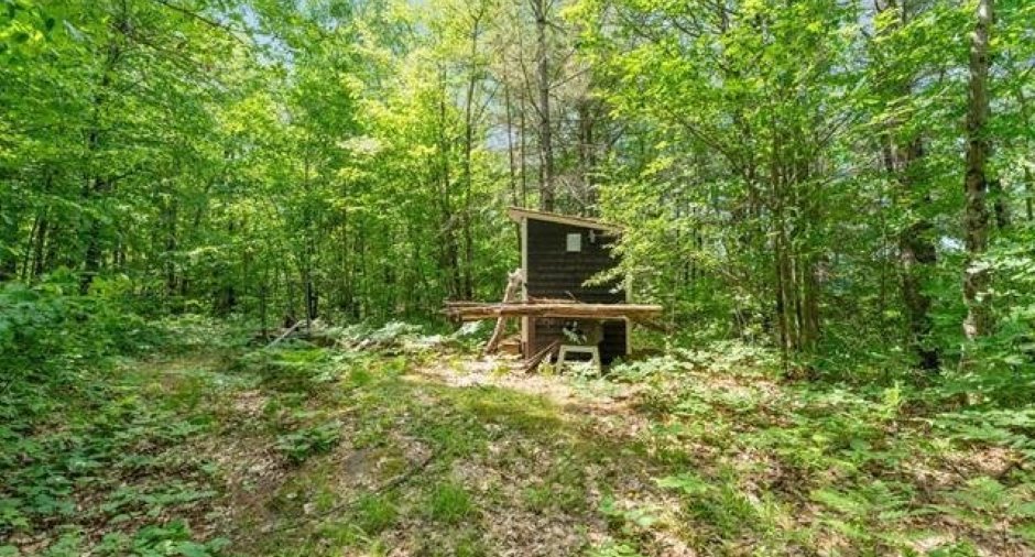 Wooded area
