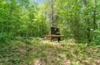 Wooded area