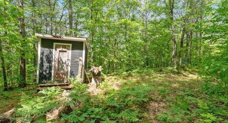 Shed