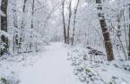Wooded area
