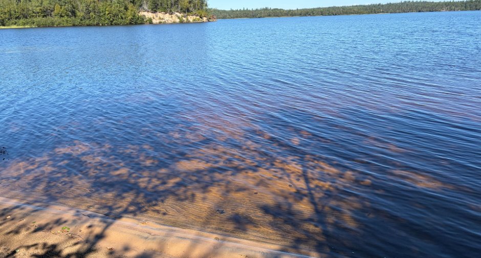 Accès au plan d'eau