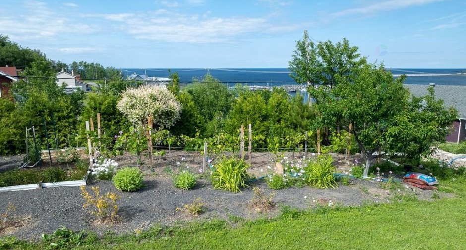 Jardin