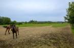 Terre/Terrain