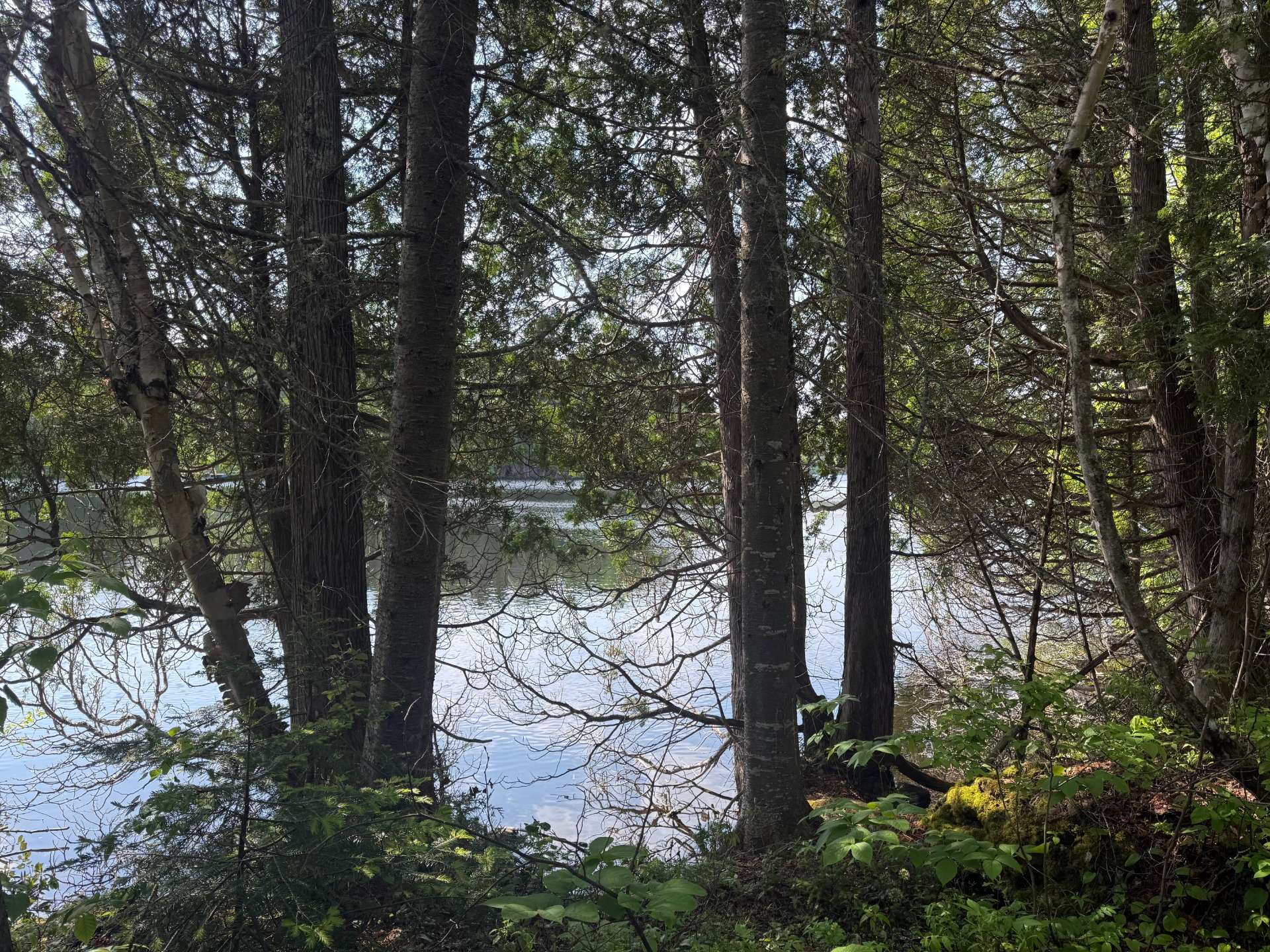 Terrain à vendre, Saguenay