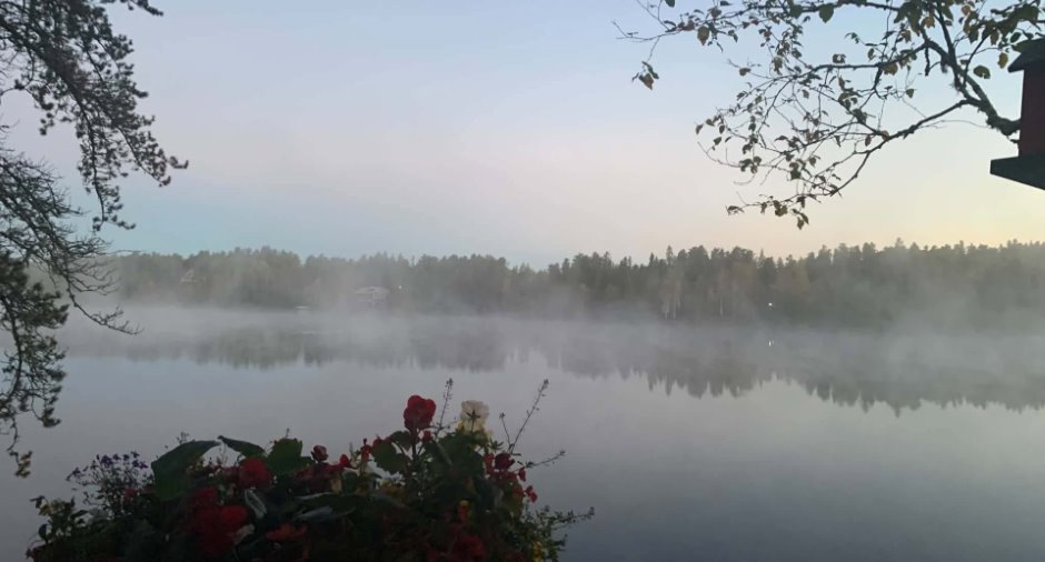 Vue sur l'eau