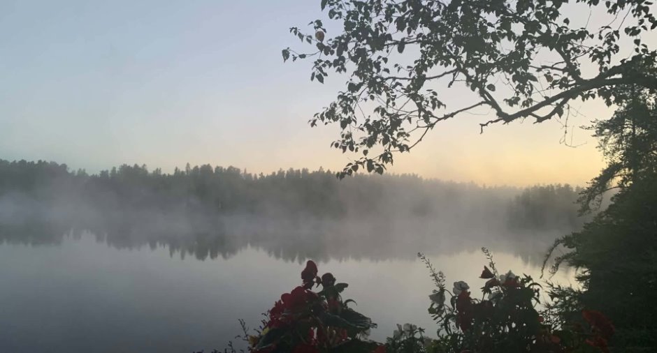 Vue sur l'eau