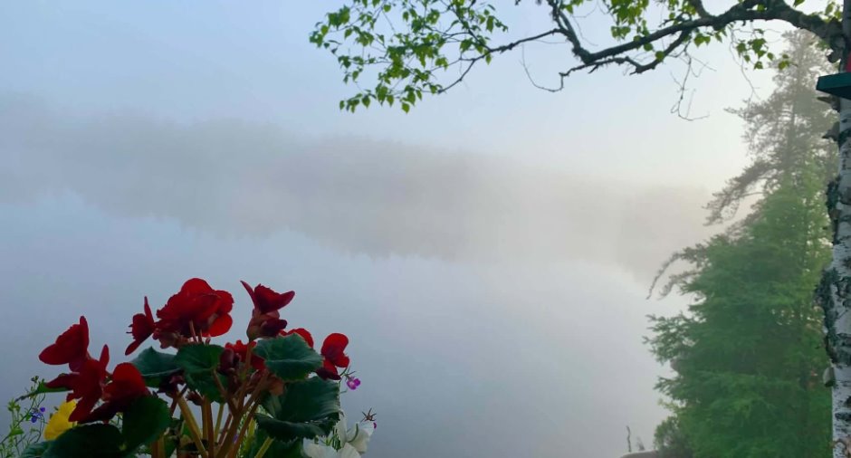 Vue sur l'eau