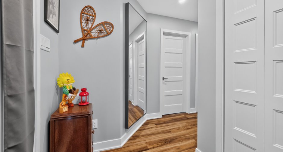 Hall d’entrée/Vestibule