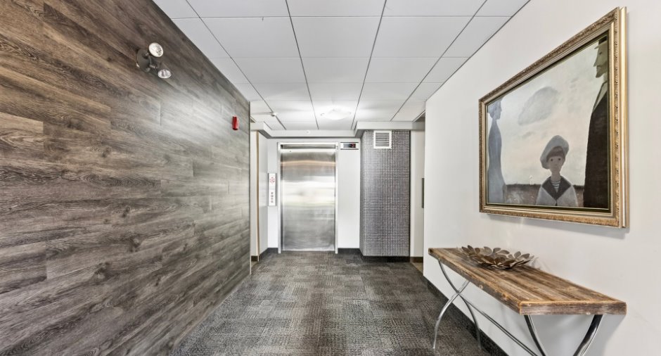 Hall d’entrée/Vestibule