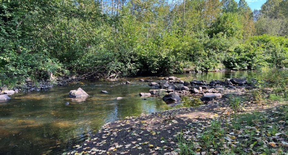 Bord de l'eau