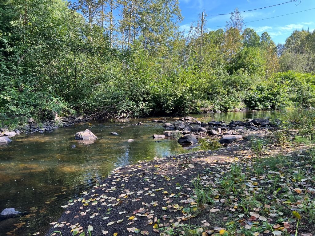 Bord de l'eau