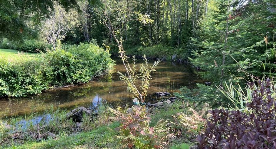 Bord de l'eau