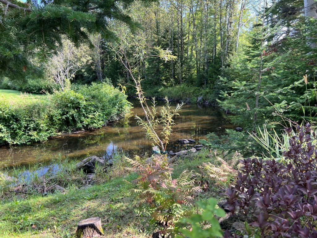 Bord de l'eau