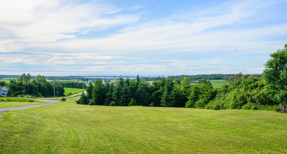 Vue