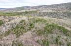 Terre/Terrain
