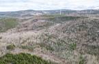 Terre/Terrain