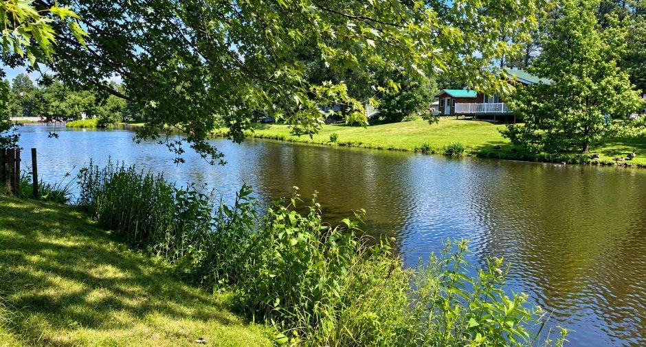 Bord de l'eau