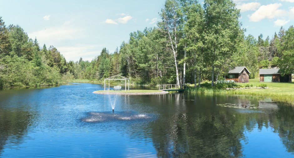 Vue sur l'eau