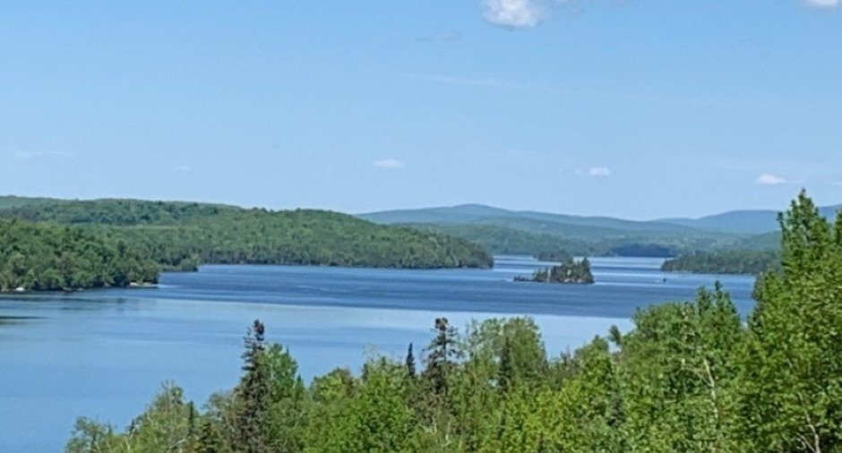 Vue