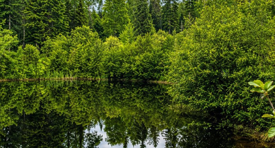 Vue sur l'eau