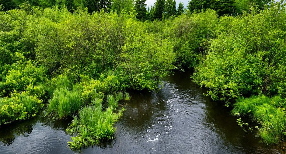 Vue sur l'eau