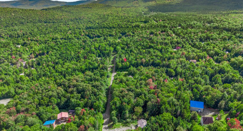 Aerial photo