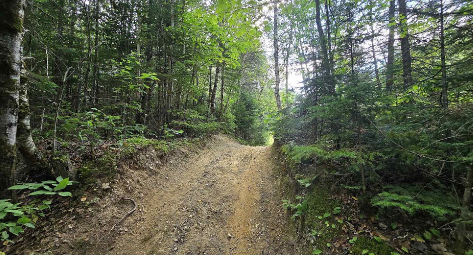 Land/Lot