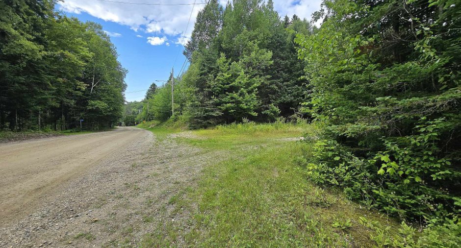 Land/Lot