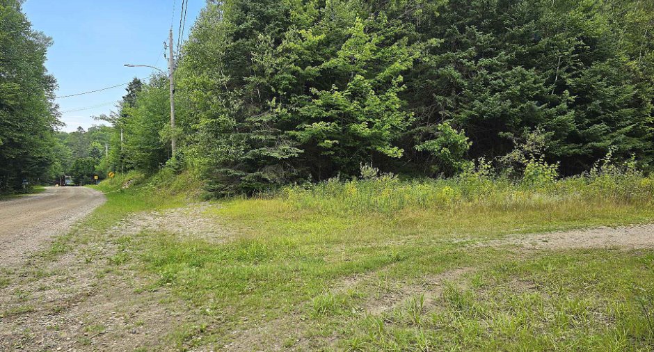 Land/Lot