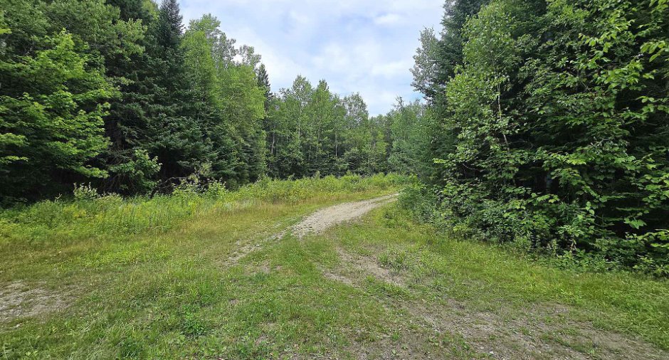 Land/Lot