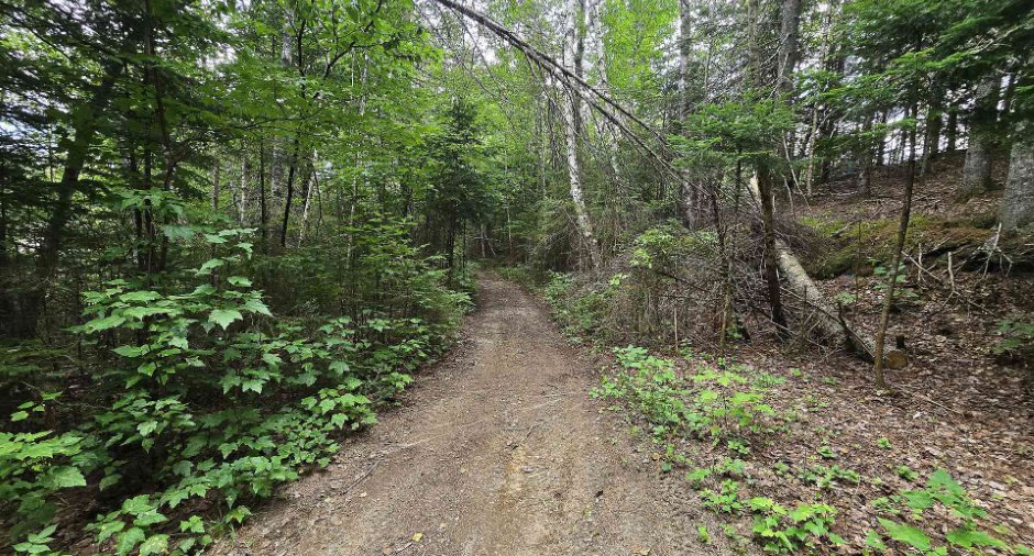 Land/Lot