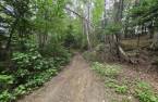 Land/Lot