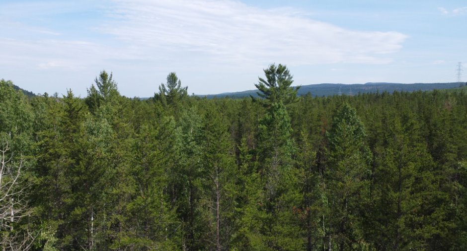 Vue