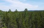Vue