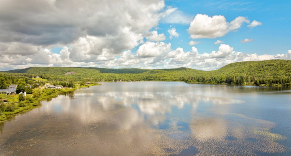 Vue