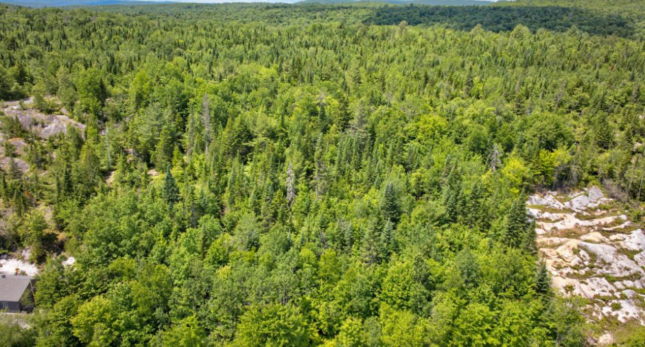Terre/Terrain