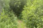 Land/Lot
