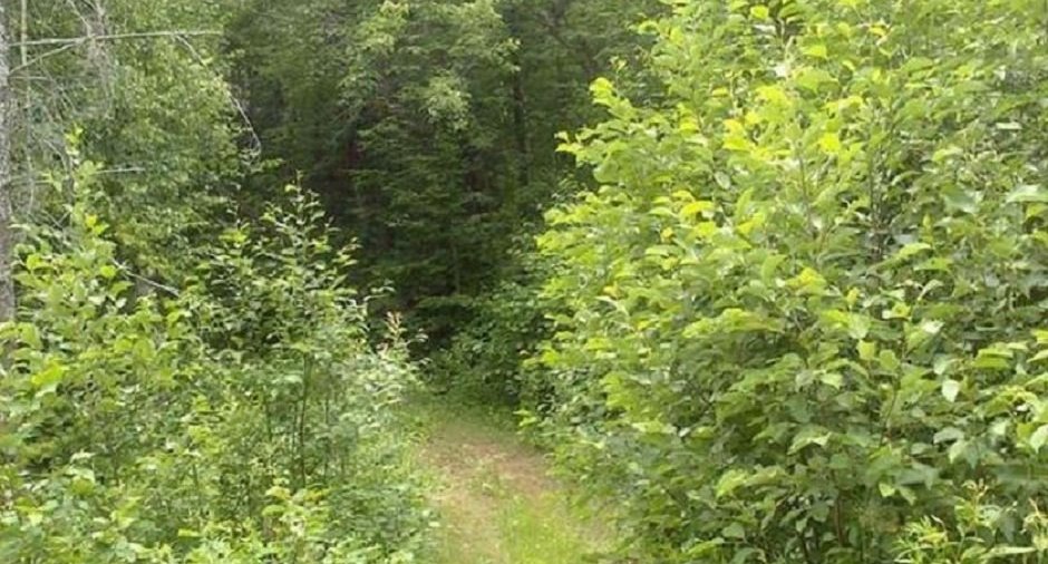 Terre/Terrain