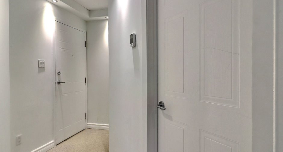 Hall d’entrée/Vestibule