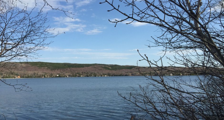 Vue sur l'eau