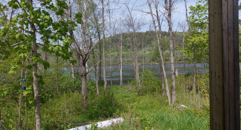 Vue sur l'eau